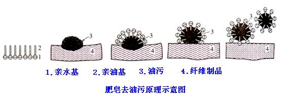 肥皂、洗衣粉和洗衣液三者有哪些區(qū)別？